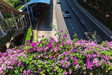 夏日游戏节：《驱灵者：新伊甸的幽灵》首个实机预告